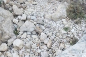 KAPICAK DAĞI ZİRVE