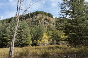 GÖLCÜK SONBAHAR ETKİNLİĞİ