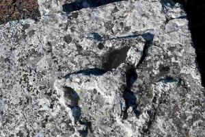 SÜTÇÜLER ADADA ANTİK KENTİ KRAL YOLU