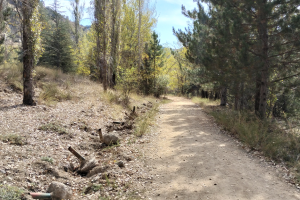 GÖLCÜK SONBAHAR ETKİNLİĞİ