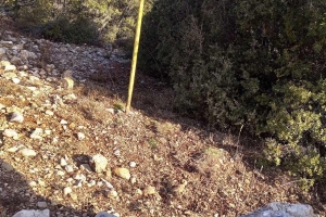 SÜTÇÜLER ADADA ANTİK KENTİ KRAL YOLU