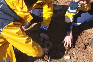 ÇANDIR FİDAN DİKİMİ