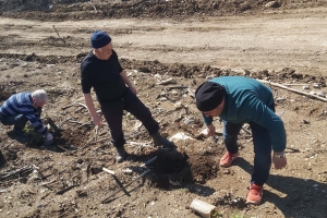 ÇANDIR FİDAN DİKİMİ