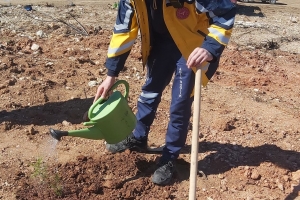 ÇANDIR FİDAN DİKİMİ