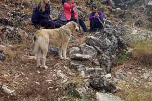 AKBELEN DAĞINDA ARAMA KURTARMA EĞİTİM ETKİNLİĞİ
