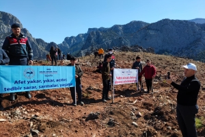 ÇANDIR FİDAN DİKİMİ