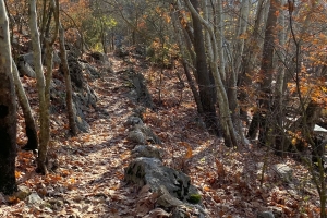 KOVADA AKBELEN ZİRVE BAYRAK DİKİM ETKİNLİĞİ