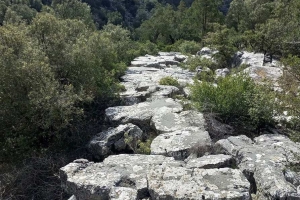 SÜTÇÜLER ADADA ANTİK KENTİ KRAL YOLU