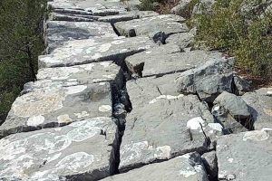 SÜTÇÜLER ADADA ANTİK KENTİ KRAL YOLU