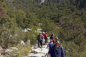SÜTÇÜLER ADADA ANTİK KENTİ KRAL YOLU