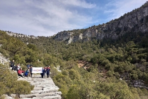 SÜTÇÜLER ADADA ANTİK KENTİ KRAL YOLU