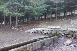 SAV BELEDİYE BAŞKANLIĞI İLE AFETLERE HAZIRLIK KONFERANSI YAPILDI