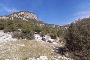 SÜTÇÜLER ADADA ANTİK KENTİ KRAL YOLU