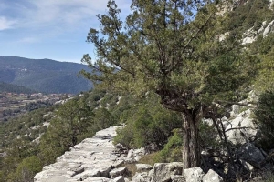 SÜTÇÜLER ADADA ANTİK KENTİ KRAL YOLU