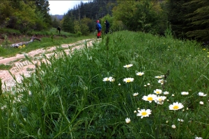 KASNAK MEŞE ORMANI EĞİTİM AMAÇLI ETKİNLİK TAMAMLANDI