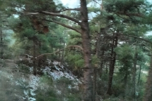 SÜTÇÜLER ADADA ANTİK KENTİ KRAL YOLU