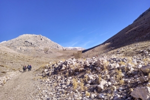 KAPICAK DAĞI ZİRVE