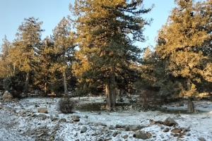 SÜTÇÜLER ADADA ANTİK KENTİ KRAL YOLU