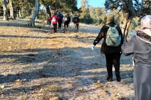 SÜTÇÜLER ADADA ANTİK KENTİ KRAL YOLU