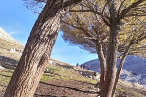 KAPICAK DAĞI ZİRVE