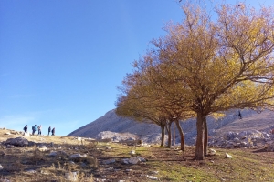 KAPICAK DAĞI ZİRVE