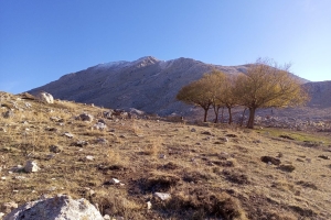 KAPICAK DAĞI ZİRVE