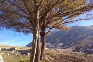 KAPICAK DAĞI ZİRVE