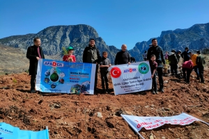 ÇANDIR FİDAN DİKİMİ