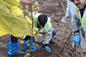 İZMİR ŞUBE BAŞKANLIĞI FİDAN DİKİMİ YAPTI