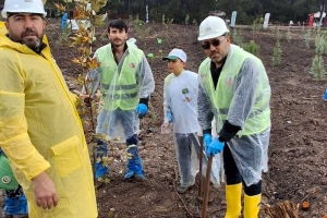 İZMİR ŞUBE BAŞKANLIĞI FİDAN DİKİMİ YAPTI