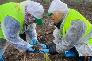 İZMİR ŞUBE BAŞKANLIĞI FİDAN DİKİMİ YAPTI