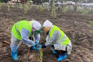 İZMİR ŞUBE BAŞKANLIĞI FİDAN DİKİMİ YAPTI