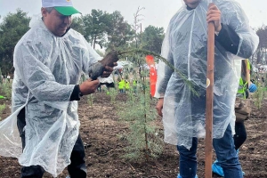 İZMİR ŞUBE BAŞKANLIĞI FİDAN DİKİMİ YAPTI
