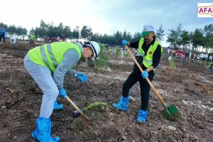 İZMİR ŞUBE BAŞKANLIĞI FİDAN DİKİMİ YAPTI
