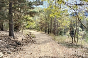 GÖLCÜK SONBAHAR ETKİNLİĞİ