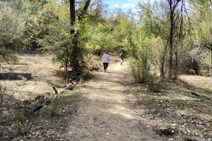 GÖLCÜK SONBAHAR ETKİNLİĞİ