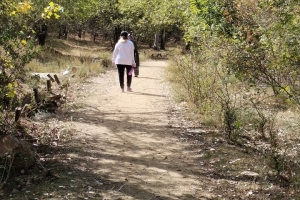 GÖLCÜK SONBAHAR ETKİNLİĞİ