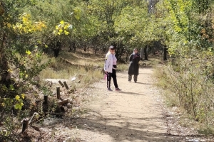 GÖLCÜK SONBAHAR ETKİNLİĞİ