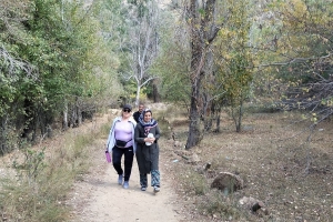 GÖLCÜK SONBAHAR ETKİNLİĞİ