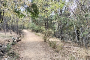 GÖLCÜK SONBAHAR ETKİNLİĞİ