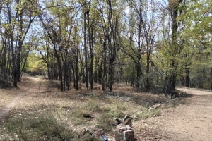 GÖLCÜK SONBAHAR ETKİNLİĞİ