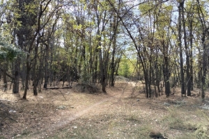 GÖLCÜK SONBAHAR ETKİNLİĞİ