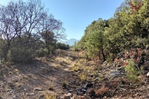 KOVADA AKBELEN ZİRVE BAYRAK DİKİM ETKİNLİĞİ