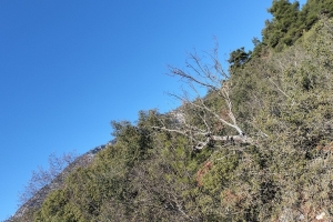 KOVADA AKBELEN ZİRVE BAYRAK DİKİM ETKİNLİĞİ