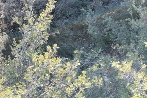 KOVADA AKBELEN ZİRVE BAYRAK DİKİM ETKİNLİĞİ