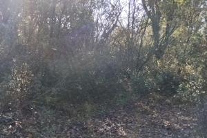 KOVADA AKBELEN ZİRVE BAYRAK DİKİM ETKİNLİĞİ