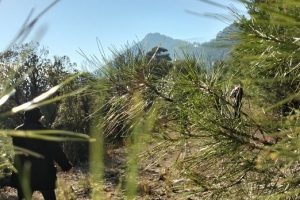 KOVADA AKBELEN ZİRVE BAYRAK DİKİM ETKİNLİĞİ