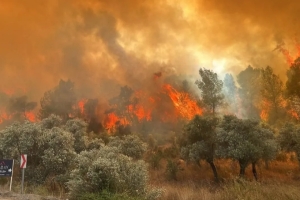 10 ORMAN İŞÇİSİ YANARAK CAN VERDİ 