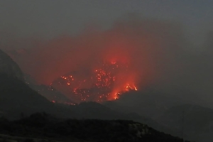 YANAN ORMANLARIMIZA DİKİM YAPMAYA DAVET EDİYORUZ