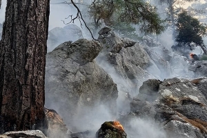 YANAN ORMANLARIMIZA DİKİM YAPMAYA DAVET EDİYORUZ